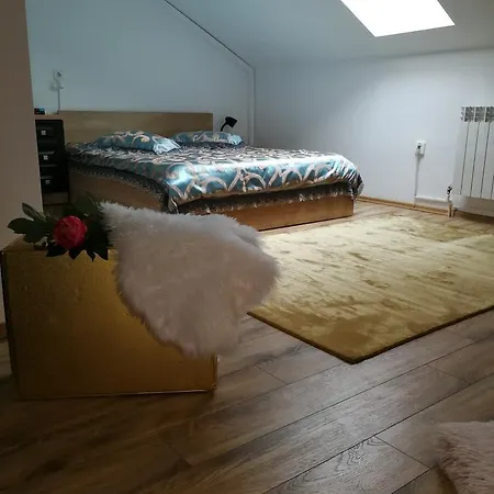 House Minerilor Apartman