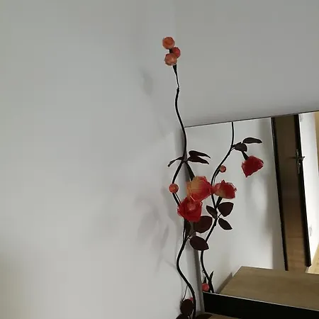 House Minerilor Apartman