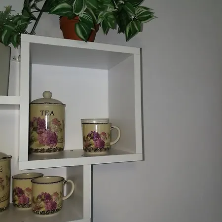 House Minerilor Apartman *