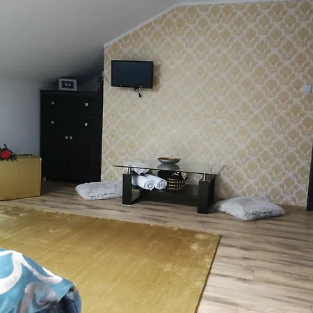 House Minerilor Apartman *
