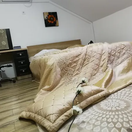 House Minerilor Apartman *