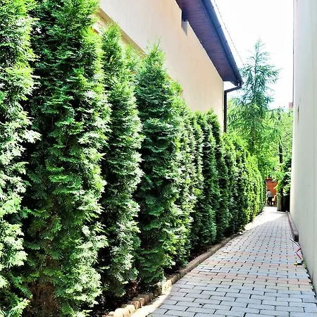 House Minerilor * Kolozsvár