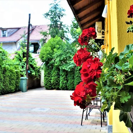 House Minerilor Apartman