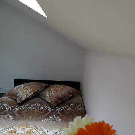 House Minerilor Apartman